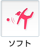ソフト