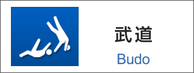 武道