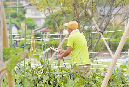 社会福祉法人 むべの里光栄